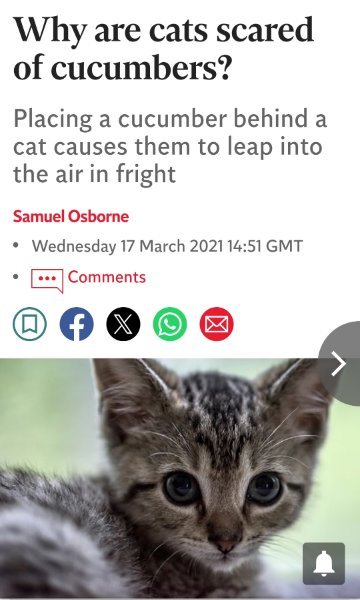 Screenshot_20250815_085533_Chrome.jpg.95b6c1f4ffb7e44c8de88a4e3301a0f2.jpg