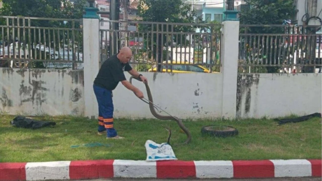 Thaiger-News-Featired-Image-2025-08-21T090717.png