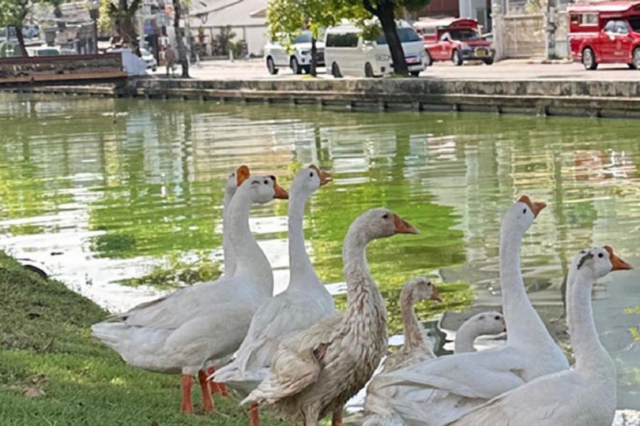 c1_3091253_790.jpg
