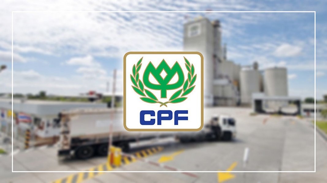 cp-quarter2025-2.jpg