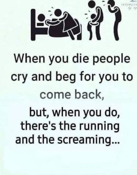 image.jpeg.18b42fed76b64df681b390df65be1b9a.jpeg