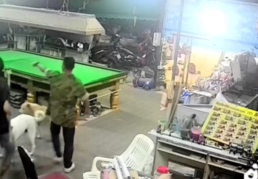 image.jpeg
