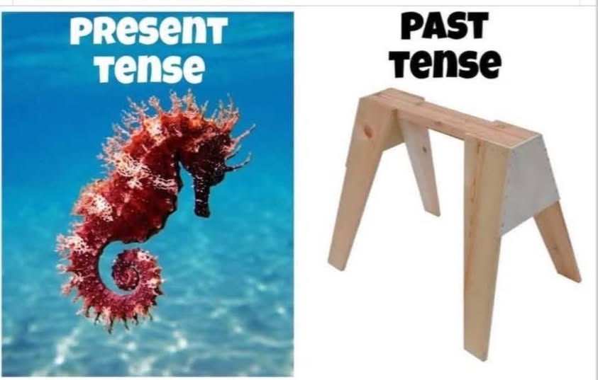 image.png.211646e9e842308cb64ce3a1df64f8b1.png