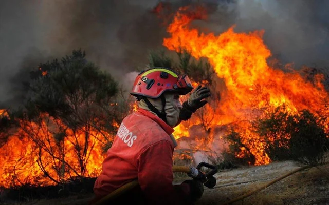 obrigado-bombeiros-v0-xonhlijro2gf1.webp