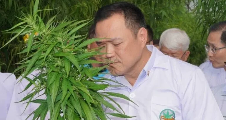 Anutin-Charnvirakul-with-marijuana-plant-photo-Matichon-Weekly-e1669022156117.webp