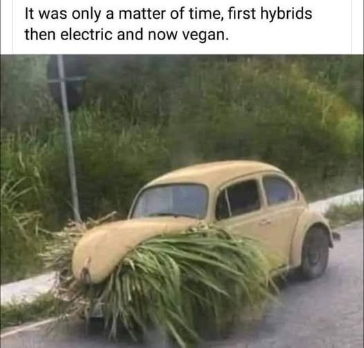 image.jpeg.7a82cc0c7e4f28f59561025612f62910.jpeg