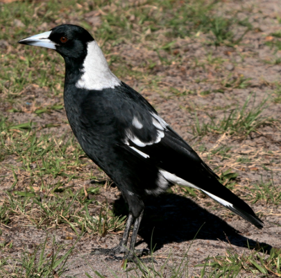 image.png.ecb307d37e9e9aa29e5cfda82119d3c3.png