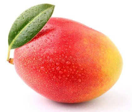 mango.jpg.4ccedb2dbcac339864744a9d905e17ef.jpg