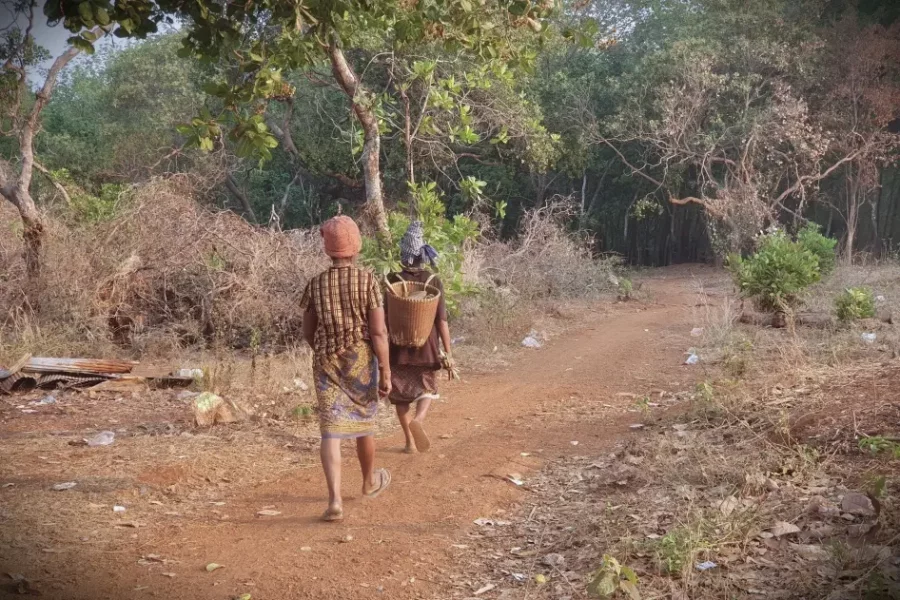 202509asia_cambodia_kreung_borrowers.webp.8ffda203d499d5f512a8005ea530a744.webp