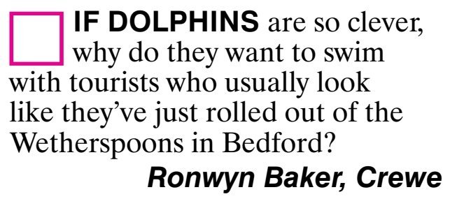 DolphinsSoClever.jpg.995456b8e675b28e3ee9c251e3f5125a.jpg
