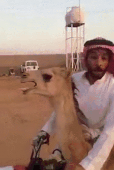 cetUJve.gif.77fb92e3798d01804161c25f82b0dcb6.gif