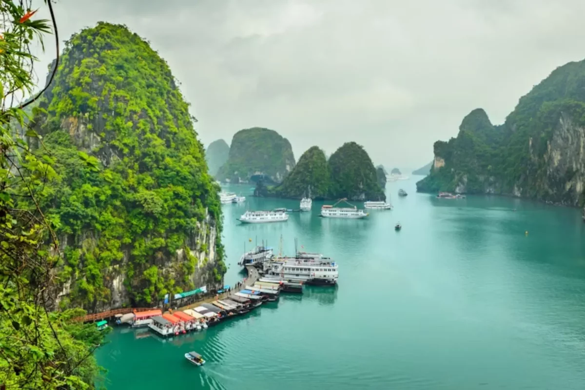 6880afd0660dd2424b59eb2f_Cat Ba Island.webp