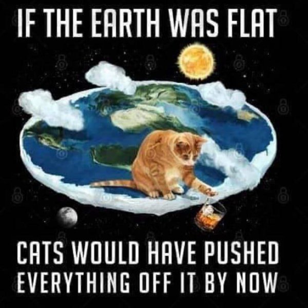 Cat_Flat_Earth.jpg.6bc41e38e1ccec34ed8e28406ea3007e.jpg
