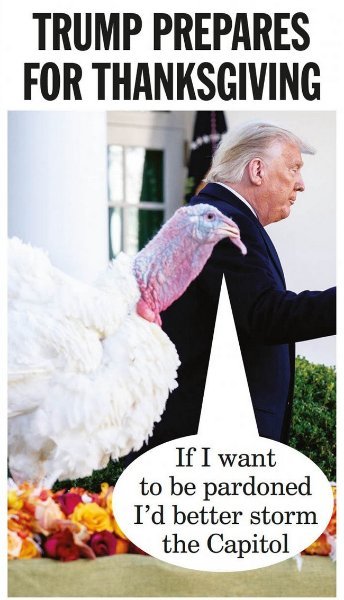 TrumpTurkeyPardon.jpg.6cc7be8f414ffed0205eb11fe7f96adb.jpg