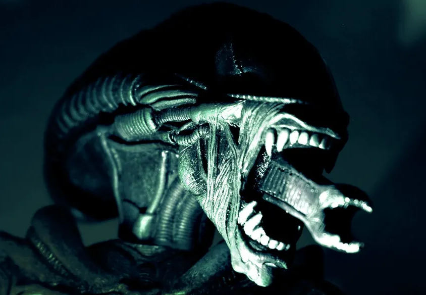image.png.0d7ba64b129669c0d3535bbe65811051.png