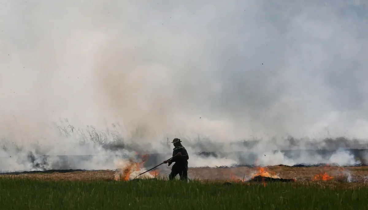 thailand-smoke-air-quality-crop-burning-farmer.webp