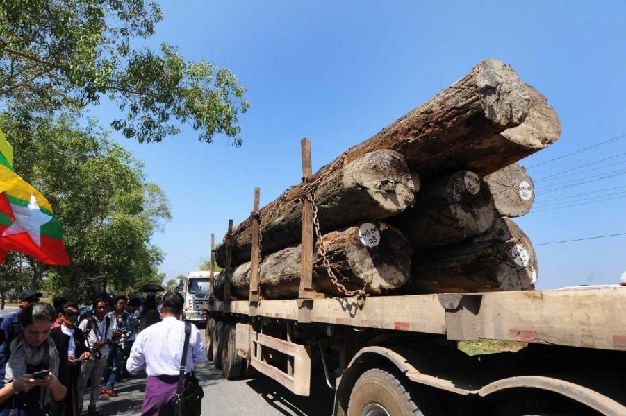 timber-sector-wants-mte-to-get-the-chop-1582187526.jpg.9244e4b94485974d94d885133448c604.jpg