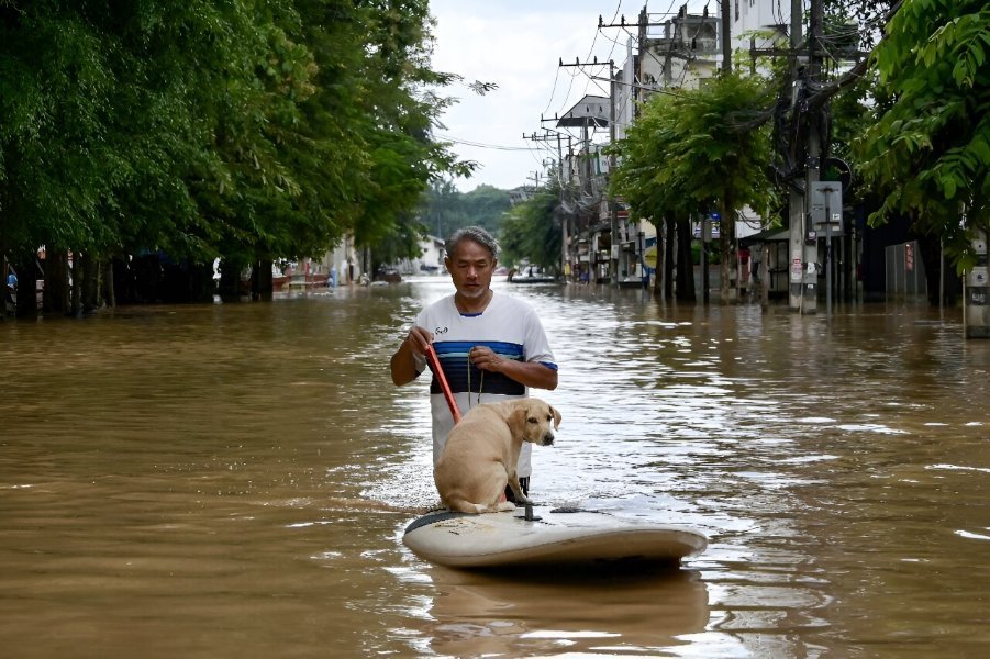 tourists-evacuated-hot.jpg