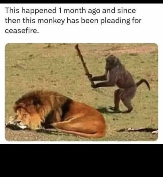 385551488_1538879530269975_8241358991867184239_n (3).jpg