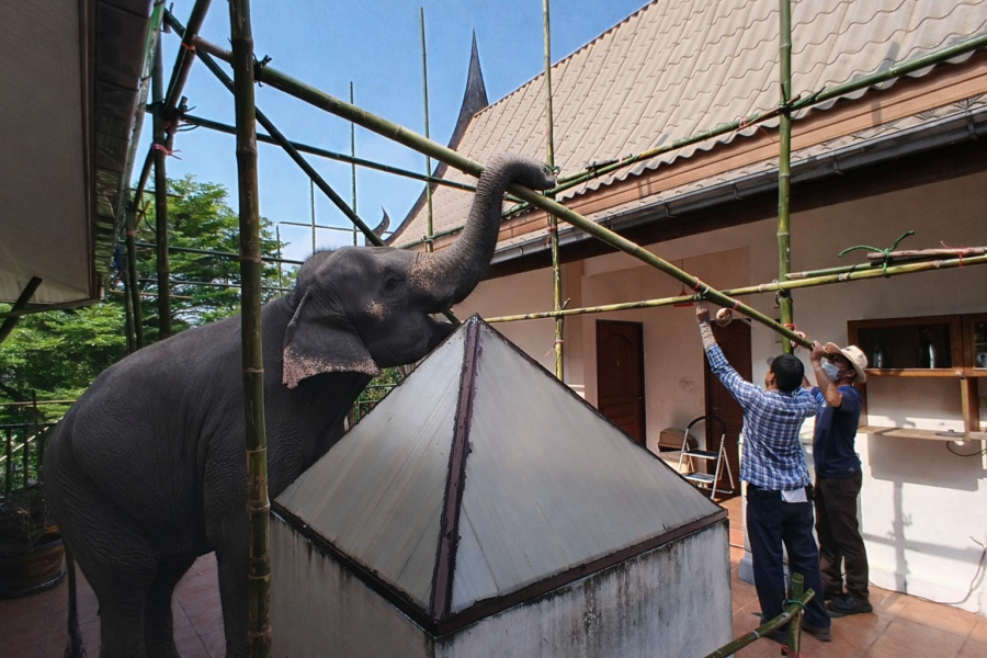 ChatGPT Image Jan 17, 2026, 10_27_51 AM.png