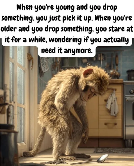 Dropping things.webp