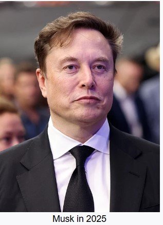 Elon Musk .jpg
