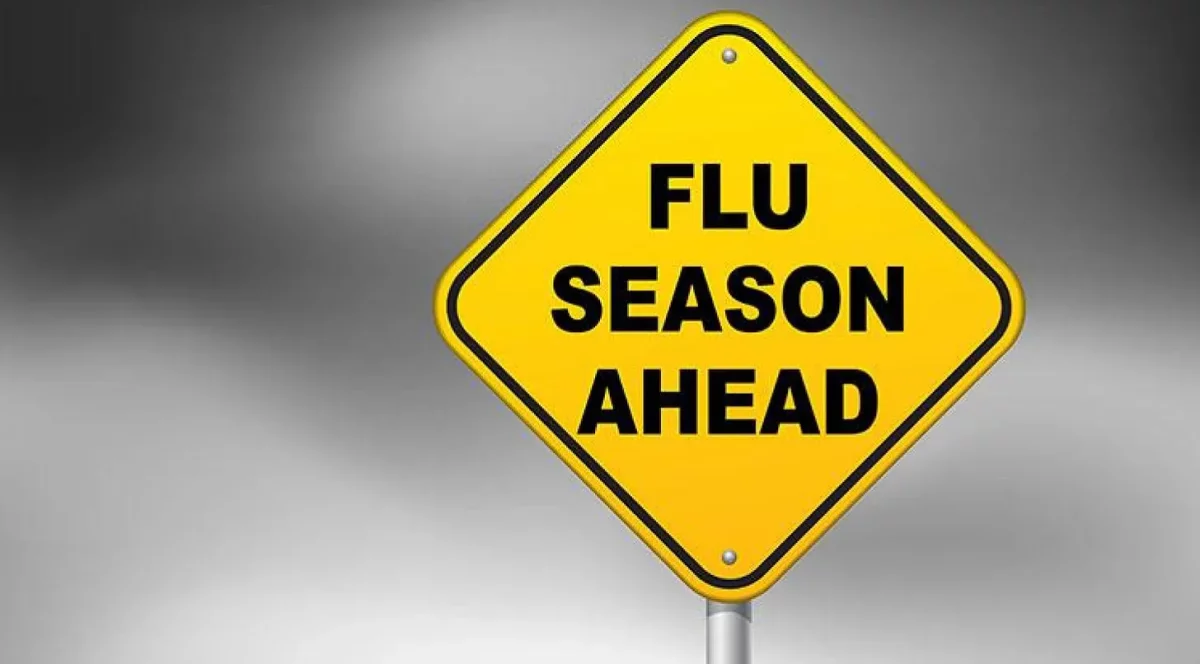 Flu season ahead.webp