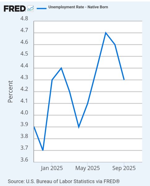 Screenshot_20251217_135154_Samsung Internet.jpg