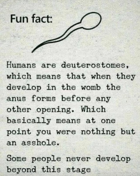 WhatsApp Image 2022-07-07 at 3.34.38 PM.jpeg