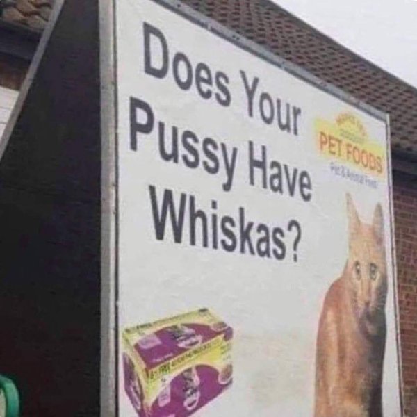 WhatsApp Image 2026-01-02 at 00.00.38.jpeg