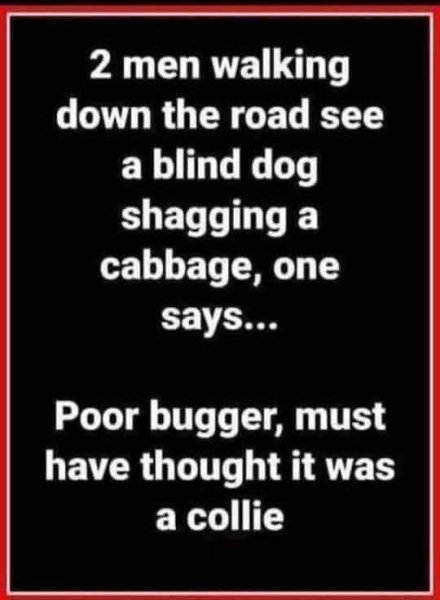 WhatsApp Image 2026-01-19 at 23.46.49.jpeg