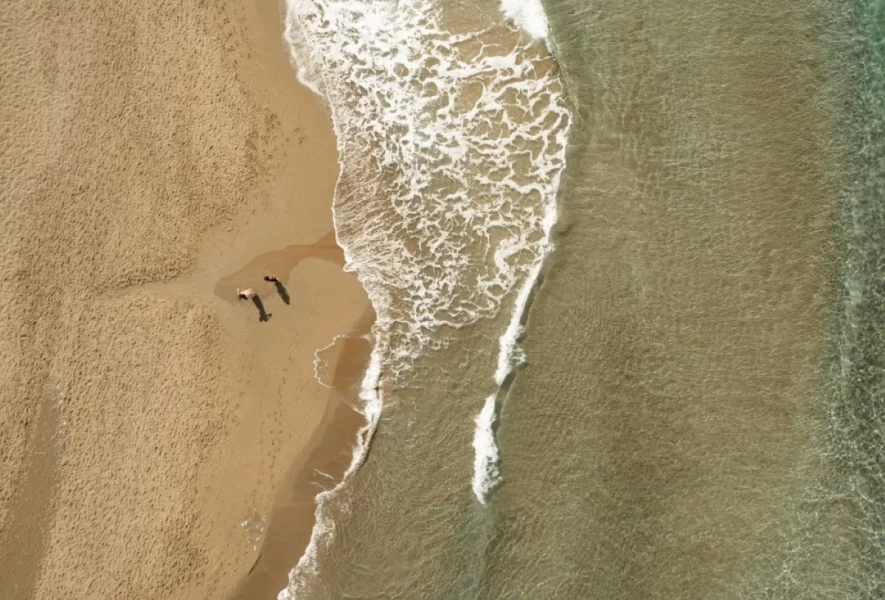 1 - 2026-02-18T150127.005.webp