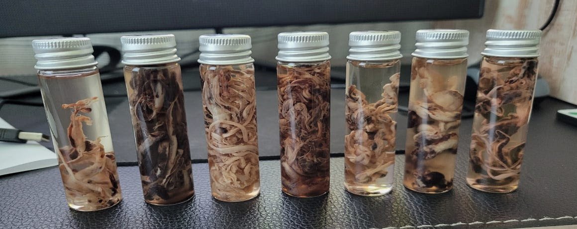 Unusual rubbery clots found in many victims' arteries and veins.jpg