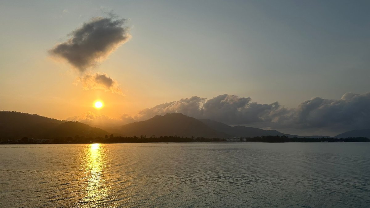 WhatsApp Image 2026-02-21 at 21.15.03.jpeg