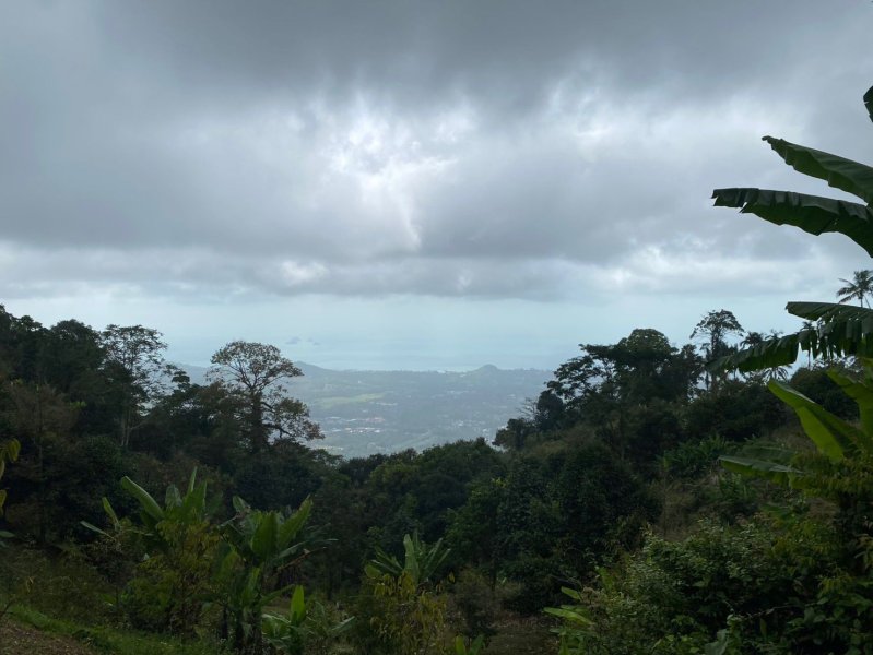 WhatsApp Image 2026-02-21 at 21.15.04.jpeg