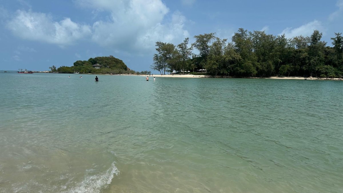 WhatsApp Image 2026-02-21 at 21.17.18.jpeg