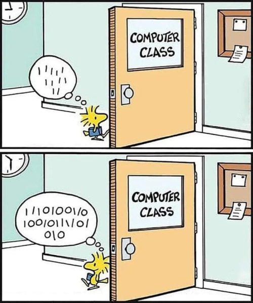 WhatsApp Image 2026-02-22 at 13.28.50.jpeg