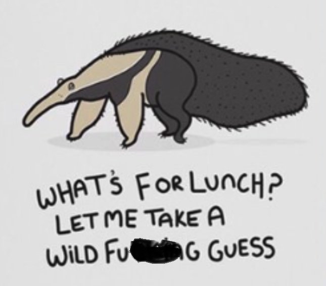 anteater.png