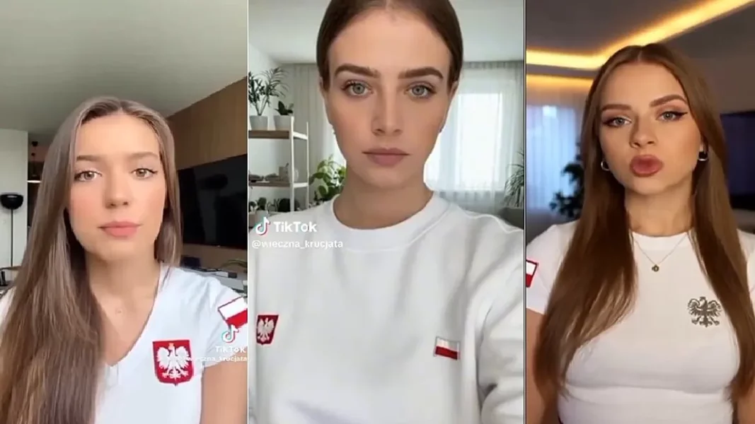 polish ai.webp