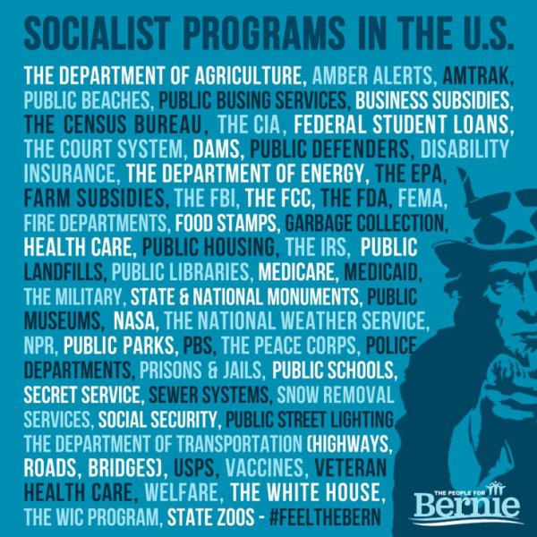 socialism in the USA.jpg