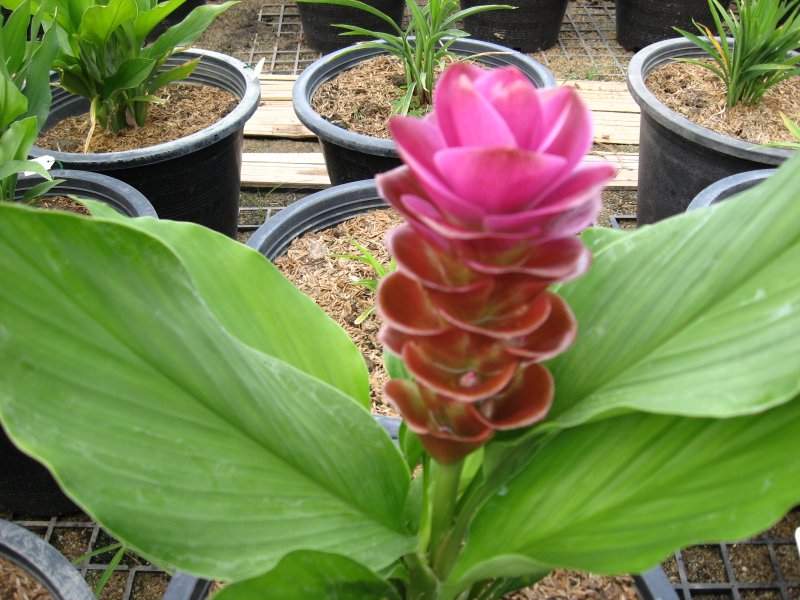 So what brought you here — and what's keeping you?