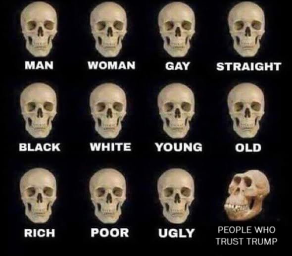 657507507_10230967493281235_2718790364967975420_n.jpg