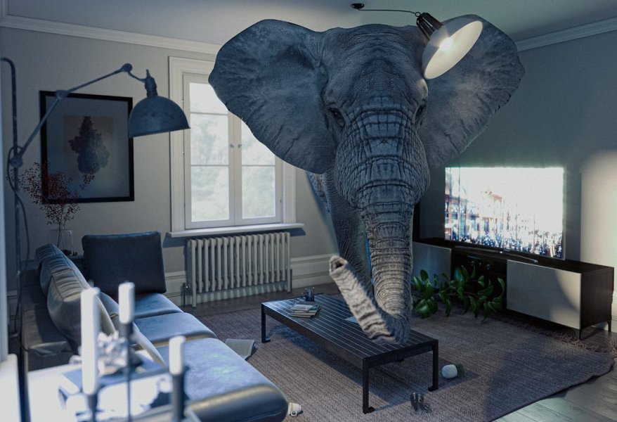 Elephant in the room.jpg