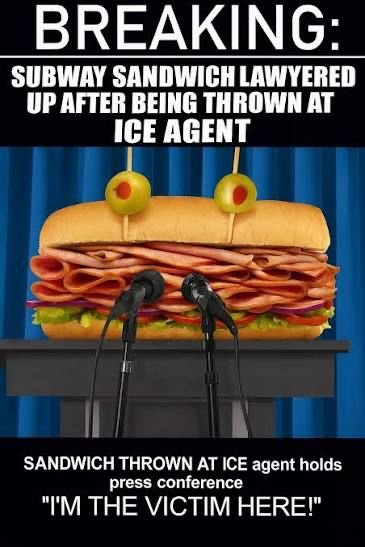 ICE Agents Sent to Airports as Shutdown Leaves US Security Lines in Chaos