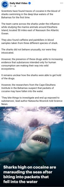 US murders two sinking "drug Boat"--what happened to the survivor?