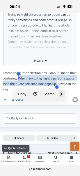 Quoting other posters