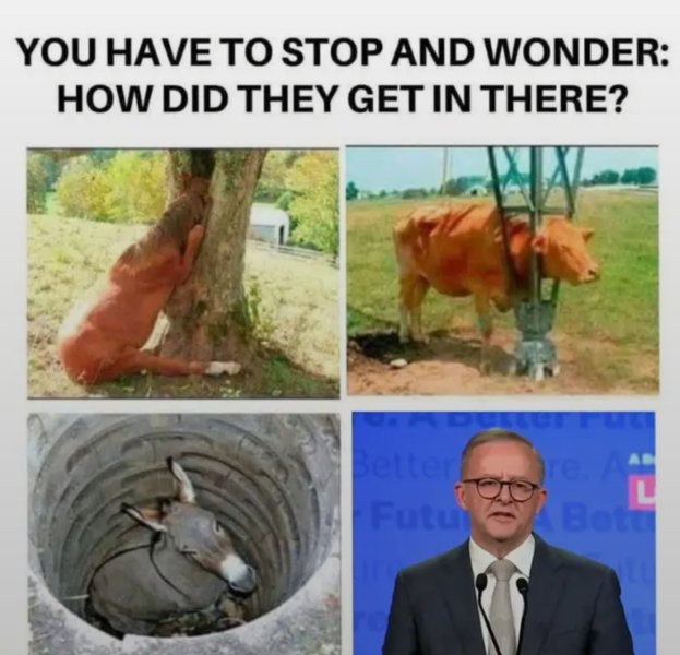 Pauline Hanson’s One Nation Poll Surge Shakes Australian Politics