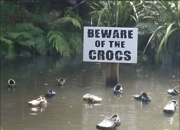 crocs.jpg