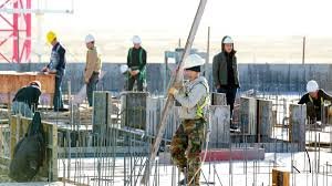 ‘Worse than cattle’: North Korea workers’ horror in Russia