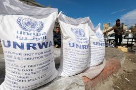 UNRWA on the brink: Gaza war pushes UN agency towards collapse